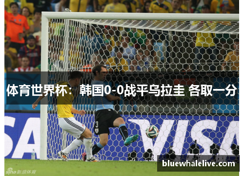 体育世界杯：韩国0-0战平乌拉圭 各取一分